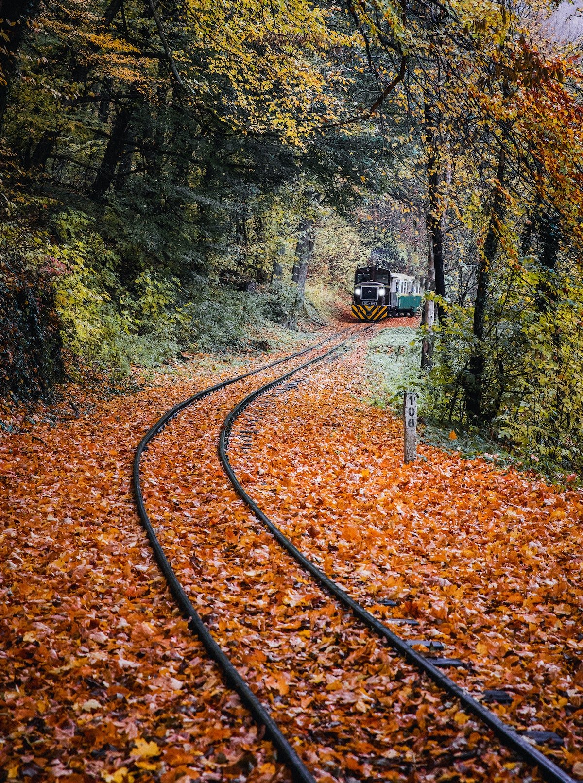 Fall Train Ride
