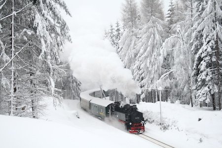 A Winter Wonderland